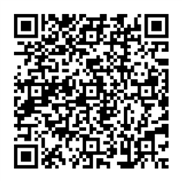 NDC 49502-381 QR Code