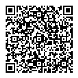 NDC 60760-295 QR Code