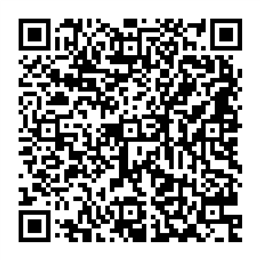 NDC 63868-933 QR Code