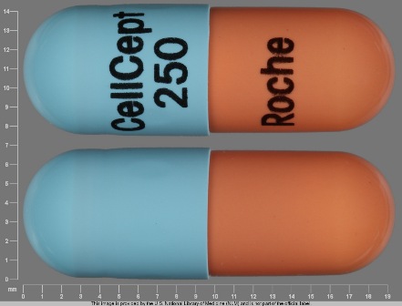 CellCept 250 Roche: (0004-0259) Cellcept 250 mg Oral Capsule by Lake Erie Medical & Surgical Supply Dba Quality Care Products LLC