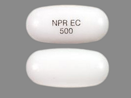 NPR EC 500: (0004-6416) Ec-naprosyn 500 mg Oral Tablet, Delayed Release by Canton Laboratories