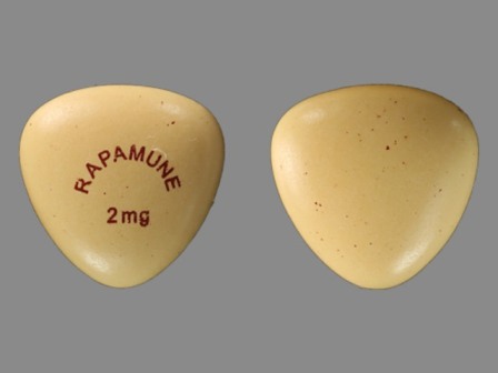 RAPAMUNE 2 MG: (0008-1042) Rapamune 2 mg Oral Tablet by Wyeth Pharmaceuticals Company, a Subsidiary of Pfizer Inc.