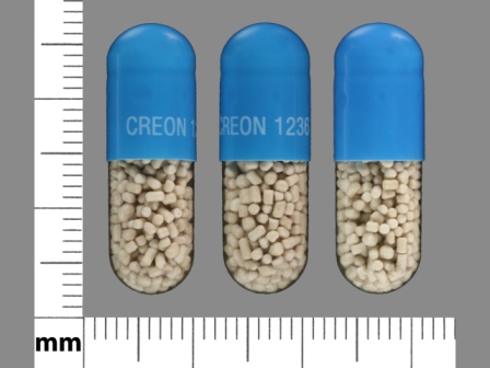 CREON 1236: (0032-3016) Creon (Amylases 180000 Unt / Proteases 114000 Unt / Lipase 36000 Unt) Enteric Coated Capsule by Abbvie Inc.