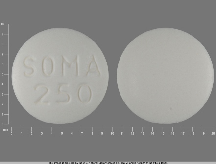 SOMA 250: (0037-2250) Soma 250 mg Oral Tablet by Meda Pharmaceuticals Inc.