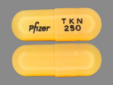 TKN 250 PFIZER: (0069-5810) Tikosyn 0.25 mg Oral Capsule by Pfizer Laboratories Div Pfizer Inc