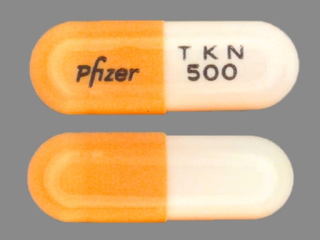 TKN 500 PFIZER: (0069-5820) Tikosyn 0.5 mg Oral Capsule by Pfizer Laboratories Div Pfizer Inc