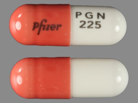 Pfizer PGN 225: (0071-1019) Lyrica 225 mg Oral Capsule by Rebel Distributors Corp