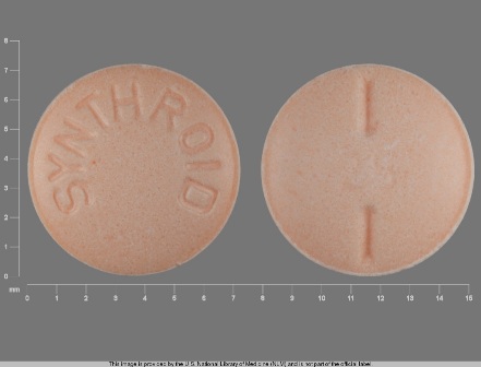 SYNTHROID 25 OR SYNTHROID: (0074-4341) Synthroid 0.025 mg Oral Tablet by Abbvie Inc.