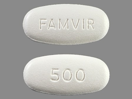 FAMVIR 500: (0078-0368) Famvir 500 mg Oral Tablet by Novartis Pharmaceuticals Corporation