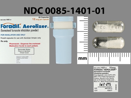 CG FXF: (0085-1401) Foradil 0.012 mg/Actuat Inhalant Powder by Merck Sharp & Dohme Corp.