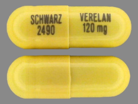 SCHWARZ 2490 VERELAN 120 mg: (0091-2490) 24 Hr Verelan 120 mg Extended Release Capsule by Ucb, Inc.