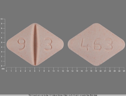 9 3 463: (0093-0463) Lamotrigine 100 mg Oral Tablet by Stat Rx USA LLC