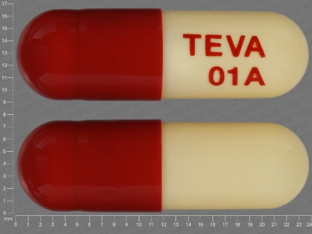 TEVA 01A: (0093-3040) Aspirin and Dipyridamole Oral Capsule by Teva Pharmaceuticals USA Inc
