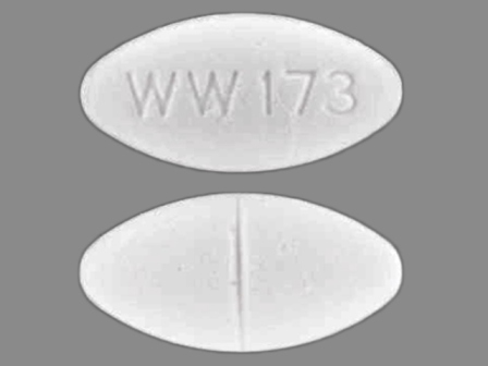 WW 173: (0143-1173) Captopril 50 mg Oral Tablet by Preferred Pharmaceuticals, Inc