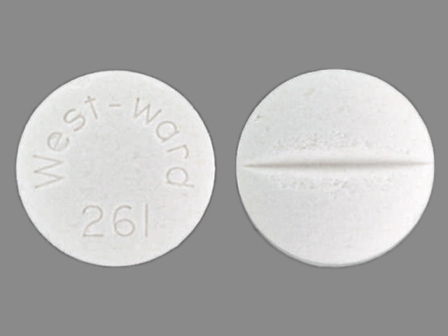 Westward 261: (0143-1261) Inh 300 mg Oral Tablet by Bryant Ranch Prepack