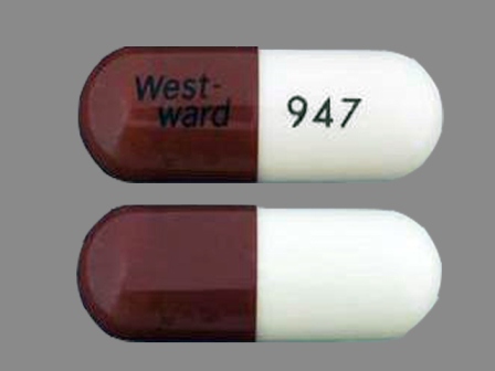 WW 947 OR West ward 947: (0143-9947) Cefadroxil 500 mg Oral Capsule by West-ward Pharmaceutical Corp