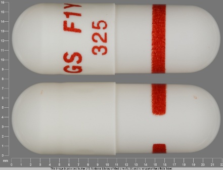 GS F1Y 325: (0173-0824) 12 Hr Rythmol 325 mg Extended Release Capsule by Glaxosmithkline LLC