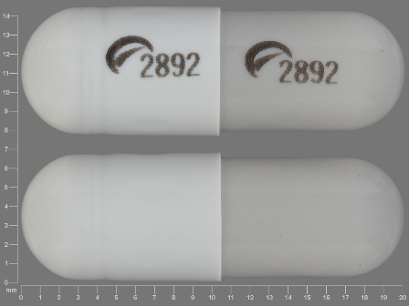 2892: (0228-2892) Duloxetine 60 mg/1 Oral Capsule, Delayed Release by Actavis Elizabeth LLC