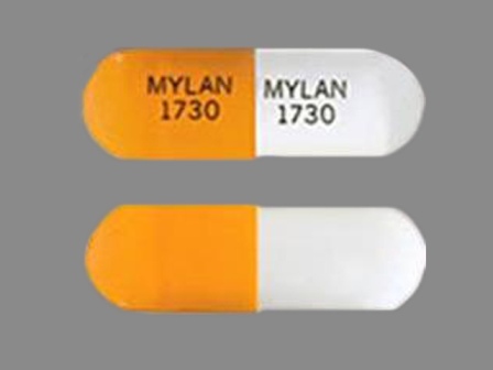 MYLAN 1730: (0378-1730) Ursodiol 300 mg Oral Capsule by Golden State Medical Supply, Inc.