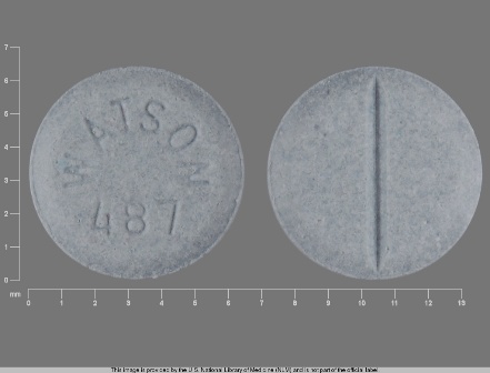 WATSON 487: (0591-0487) Estradiol 1 mg Oral Tablet by Blenheim Pharmacal, Inc.