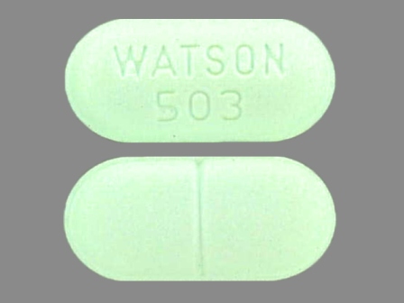 WATSON 503: (0591-0503) Apap 650 mg / Hydrocodone Bitartrate 10 mg Oral Tablet by Stat Rx USA LLC