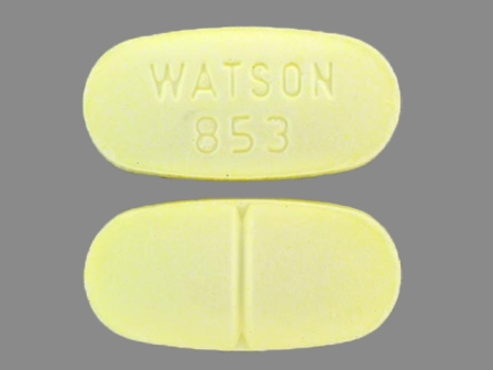 WATSON 853: Apap 325 mg / Hydrocodone Bitartrate 10 mg Oral Tablet