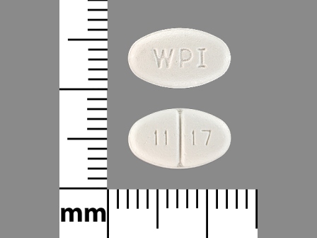 WPI 11 17: (0591-1117) Mirtazapine 15 mg Oral Tablet, Film Coated by Aphena Pharma Solutions - Tennessee, LLC