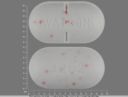 WATSON 3202: Apap 325 mg / Hydrocodone Bitartrate 5 mg Oral Tablet