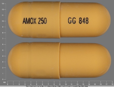 AMOX 250 GG 848: (0781-2020) Amoxicillin 250 mg Oral Capsule by Blenheim Pharmacal, Inc