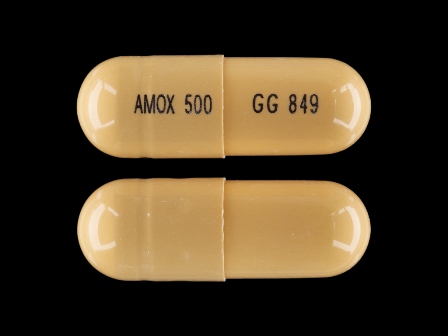 AMOX 500 GG 849: (0781-2613) Amoxicillin 500 mg Oral Capsule by Denton Pharma, Inc.