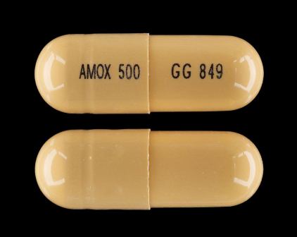 AMOX 500 GG 849: (10544-018) Amoxicillin 500 mg Oral Capsule by Blenheim Pharmacal, Inc.