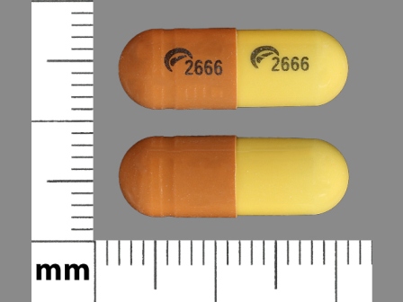 2666: (14550-512) Gabapentin 300 mg Oral Capsule by American Health Packaging
