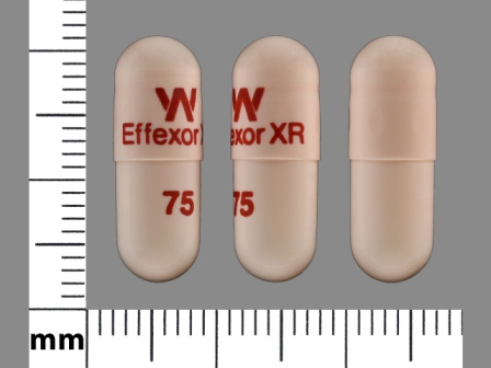 W EffexorXR 75: (16590-086) 24 Hr Effexor 75 mg Extended Release Capsule by Stat Rx USA