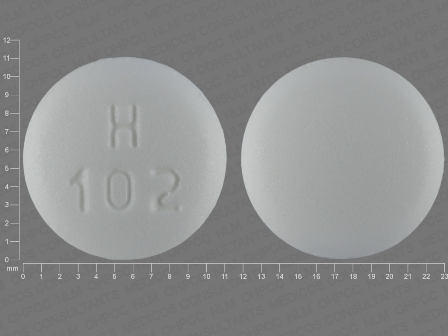 H 102: (23155-102) Metformin Hydrochloride 500 mg Oral Tablet by Blenheim Pharmacal, Inc.