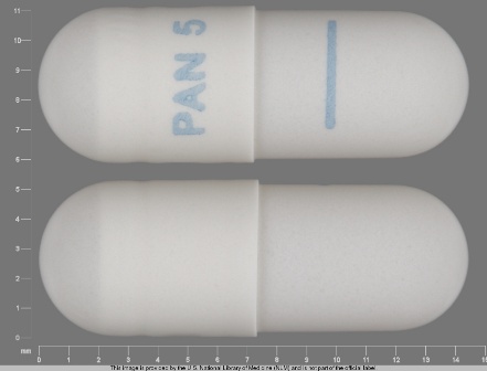PAN 5: (39822-0205) Amylases 27,000 Unt / Lipase 5000 Unt / Proteases 17,000 Unt Delayed Release Capsule by X-gen Pharmaceuticals, Inc.