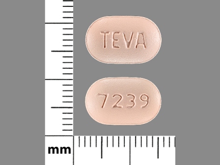 TEVA 7239: (42291-343) Hctz 12.5 mg / Irbesartan 300 mg Oral Tablet by Avkare, Inc.