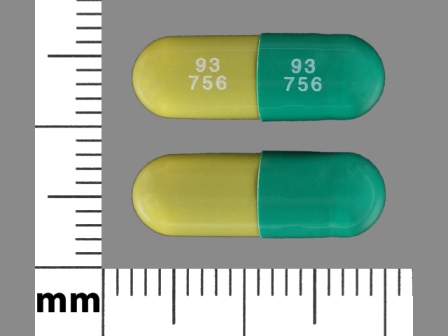 93 756: (42291-674) Piroxicam 10 mg Oral Capsule by Rebel Distributors Corp