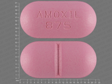 AMOXIL 875: (43598-219) Amoxicillin 875 mg Oral Tablet, Film Coated by Readymeds