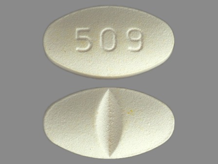 509: Citalopram 40 mg (As Citalopram Hydrobromide 49.98 mg) Oral Tablet