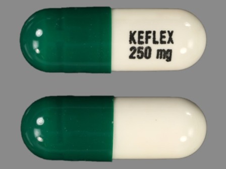 KEFLEX 250 mg: (59630-112) Keflex 250 mg Oral Capsule by Shionogi Inc.