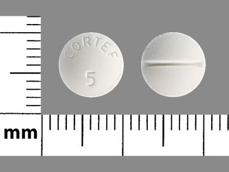 CORTEF 5: (59762-0073) Hydrocortisone 5 mg Oral Tablet by Greenstone LLC