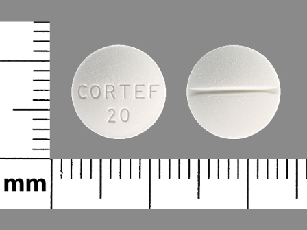 CORTEF 20: (59762-0075) Hydrocortisone 20 mg Oral Tablet by Greenstone LLC