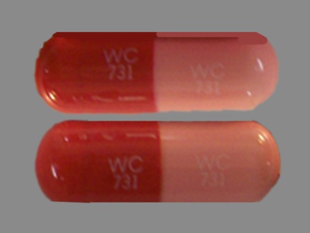 WC 731: Amoxicillin 500 mg Oral Capsule