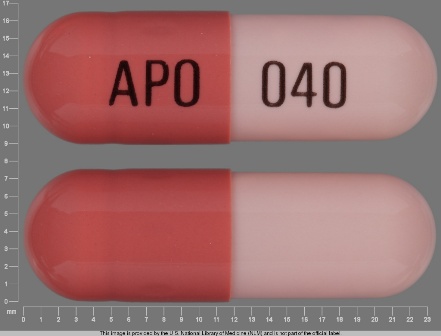 APO 040: (60505-0146) Omeprazole 40 mg Oral Capsule, Delayed Release by Northwind Pharmaceuticals, LLC