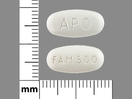 APO FAM500: (60505-3247) Famciclovir 500 mg Oral Tablet by Apotex Corp.