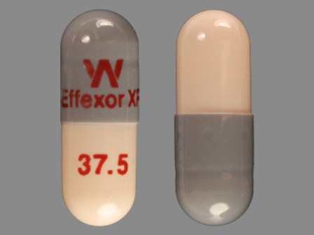 W EffexorXR 375: (60505-3778) Venlafaxine (As Venlafaxine Hydrochloride) 37.5 mg 24 Hr Extended Release Capsule by Apotex Corp.