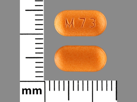 M73: (61570-073) Menest .625 mg Oral Tablet, Film Coated by Avera Mckennan Hospital