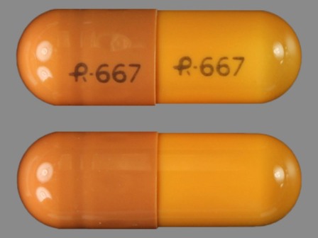R667: Gabapentin 400 mg Oral Capsule