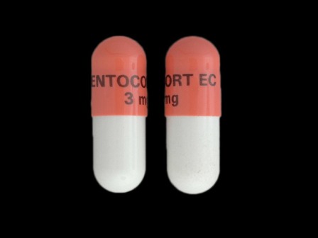 ENTOCORT EC 3 mg: (65483-702) 24 Hr Entocort 3 mg Extended Release Enteric Coated Capsule by Prometheus Laboratories Inc