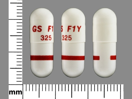 GS F1Y 325: (66993-115) Propafenone Hydrochloride 325 mg Oral Capsule, Extended Release by Prasco Laboratories